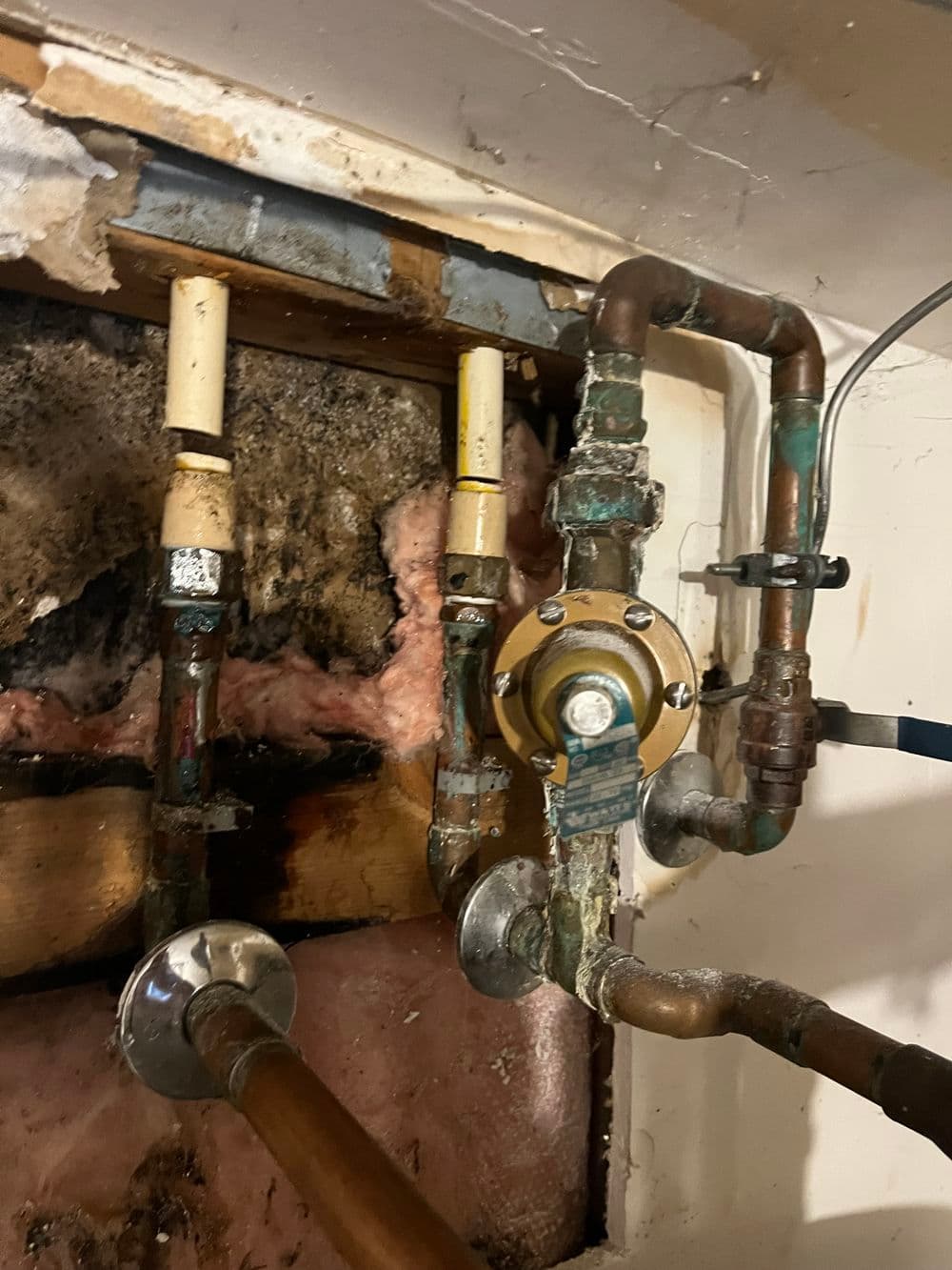 Plumbing System Evaluations image